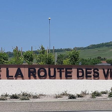 Suite Cocooning - Route Des Vins Bergbieten Esterno foto